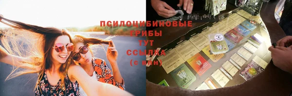 мет Аркадак