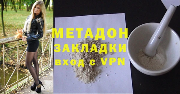 шишки Корсаков